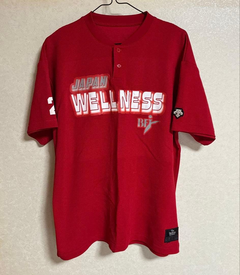 デサント 日本ウェルネススポーツ大学　野球部ユニフォーム　Lサイズ　旧型