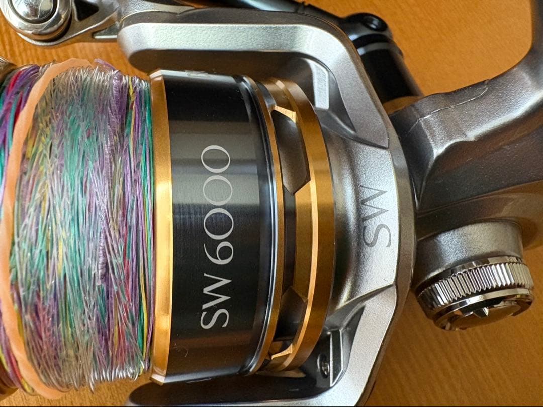シマノ　16バイオマスターSW6000PG