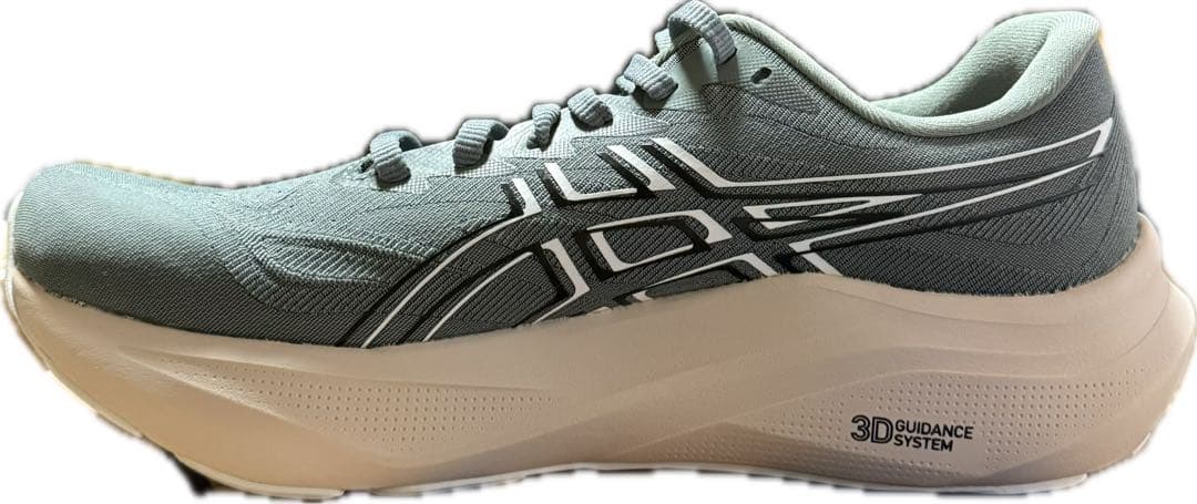 【新品未使用】26.0cm asics GT-2000 14(1011C056)
