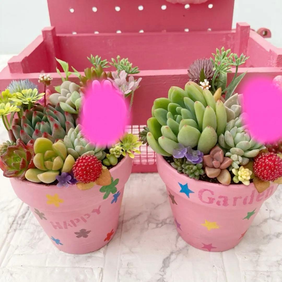 多肉植物　寄せ植え（夢かわいいver.）