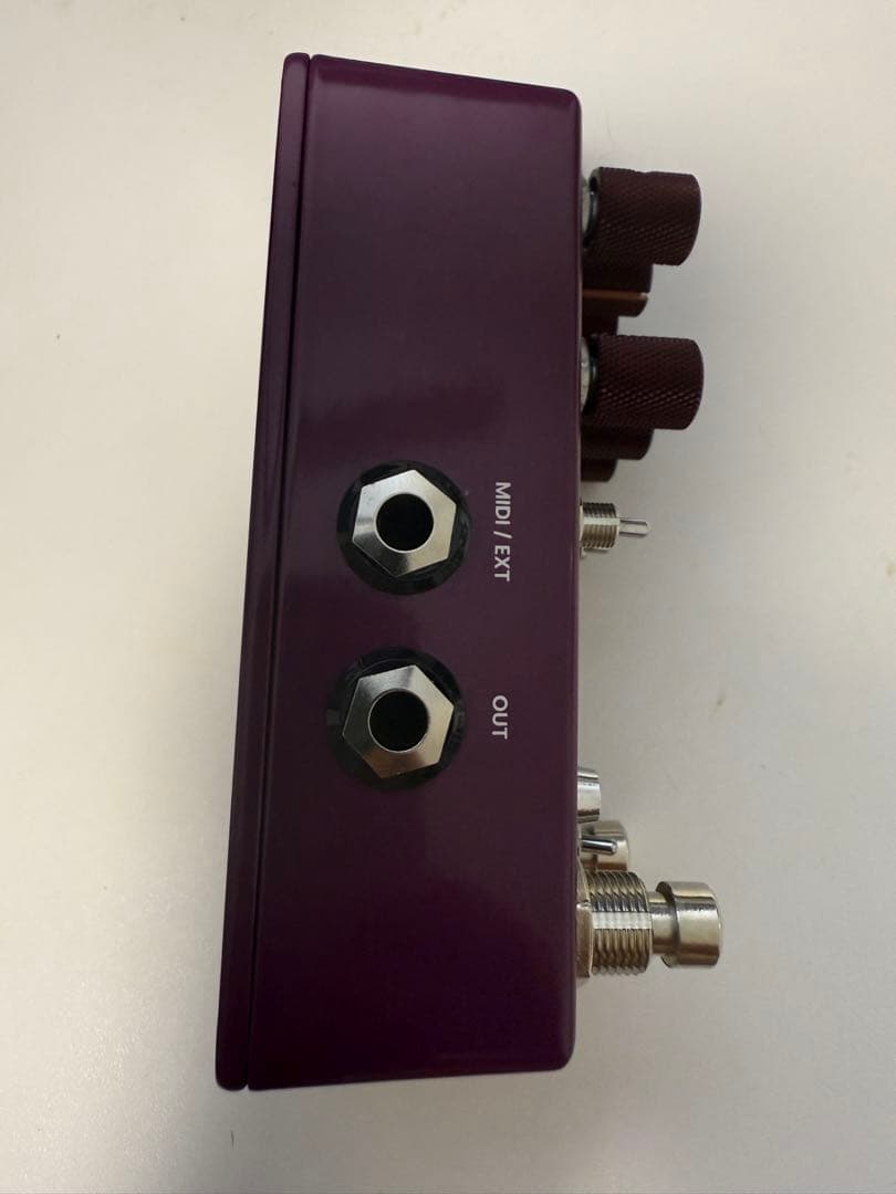 ギター Chase Bliss Audio BROTHERS AM