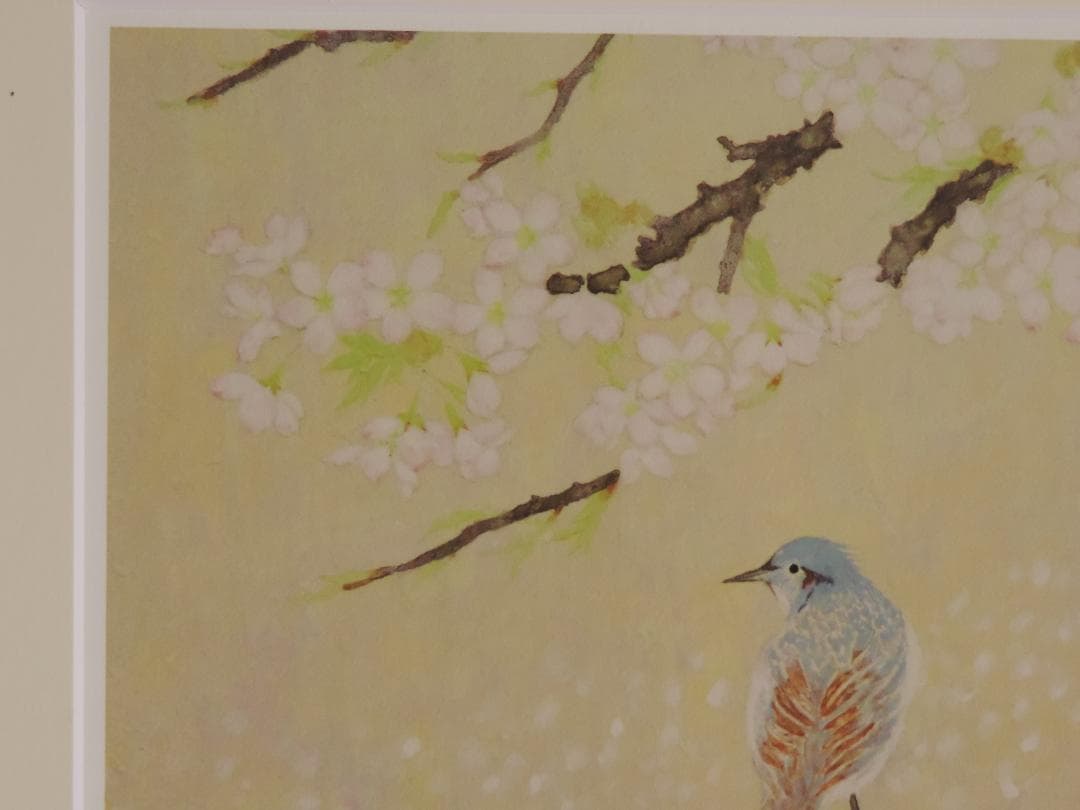 惜春