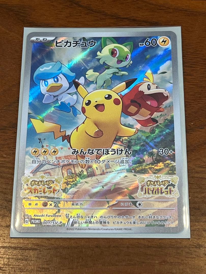 ポケモンカードゲーム　ピカチュウ　みんなでぼうけん2枚　プロモカード　カバー付き
