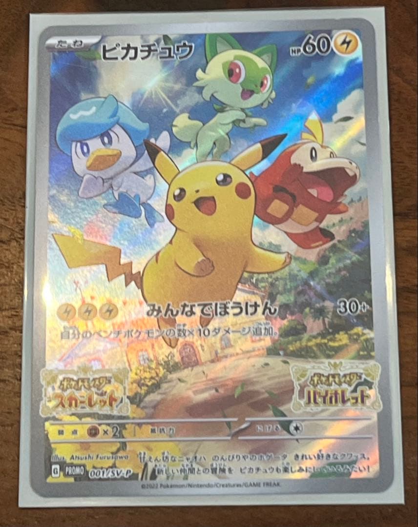 ポケモンカードゲーム　ピカチュウ　みんなでぼうけん2枚　プロモカード　カバー付き