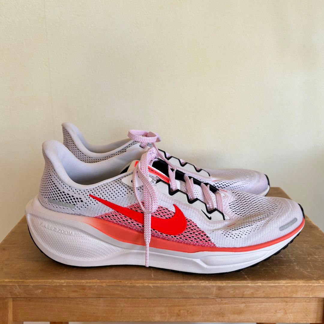 NIKE ペガサス41 レディース　25.0