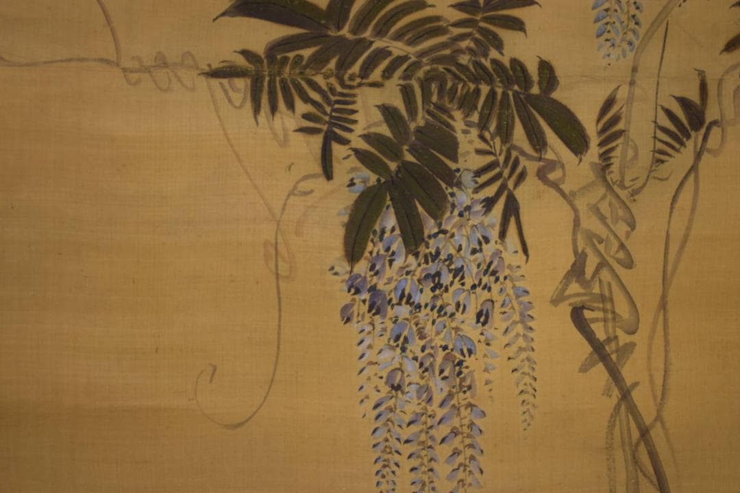 真作/秀文/藤/双鶏図/布袋屋掛軸HI-868