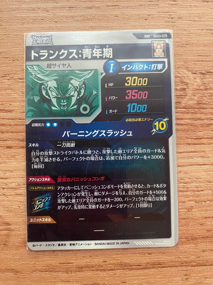 SDV3-029　GDR トランクス青年期