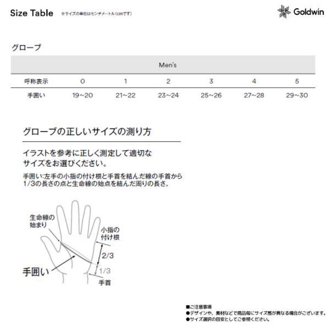 GOLDWINゴールドウィンGORE-TEX Glove G84302 Sサイズ