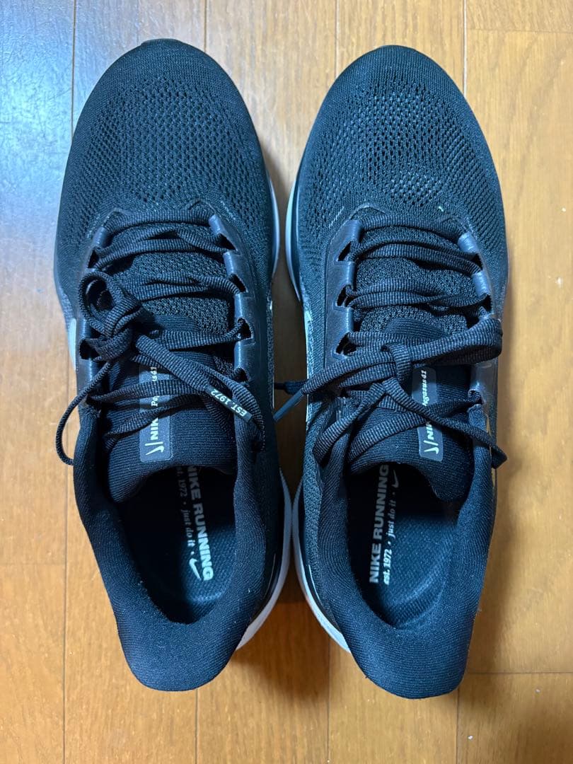 NIKE ペガサス41 ワイド 28.0cm