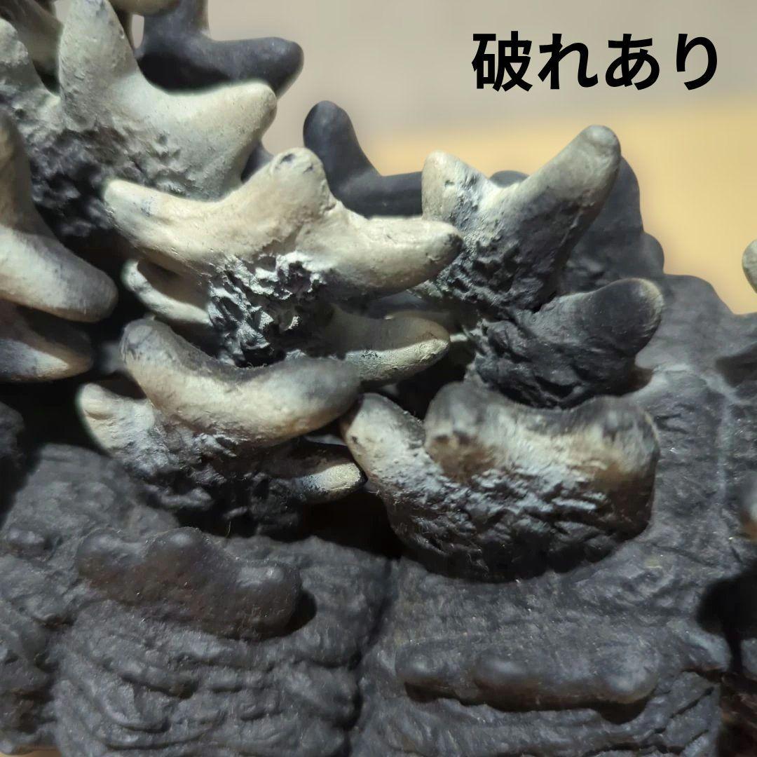 【ジャンク】東京マルイ　RCゴジラ（ビオランテバージョン） ラジコン