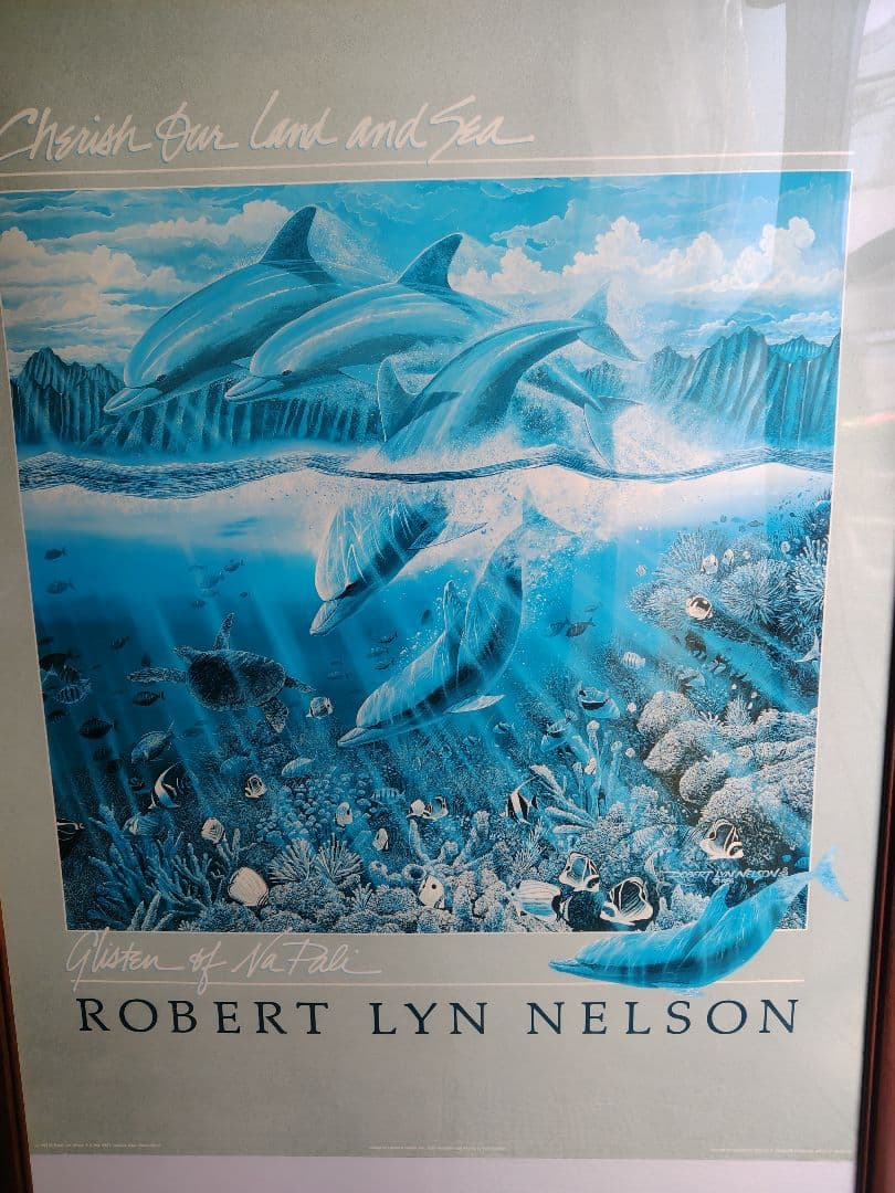 ロバート・リン・ネルソン 1989NaPaliのLitoポスター新しいフレーム
