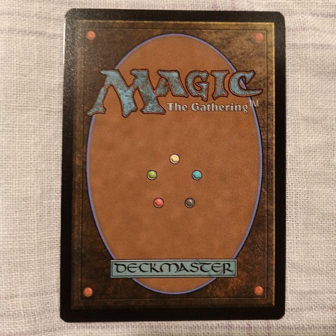 MTG　激情の後見　日本語、拡張FOIL