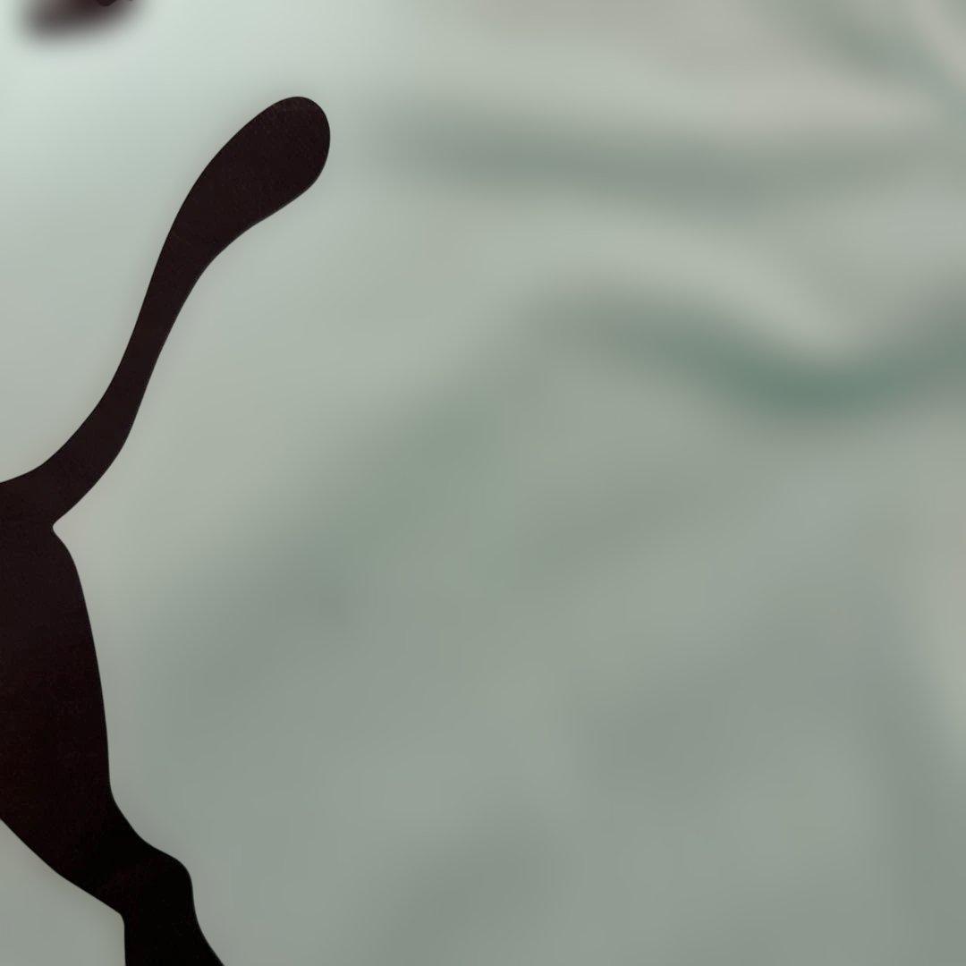 清水エスパルス Puma シャツ アクアブルー