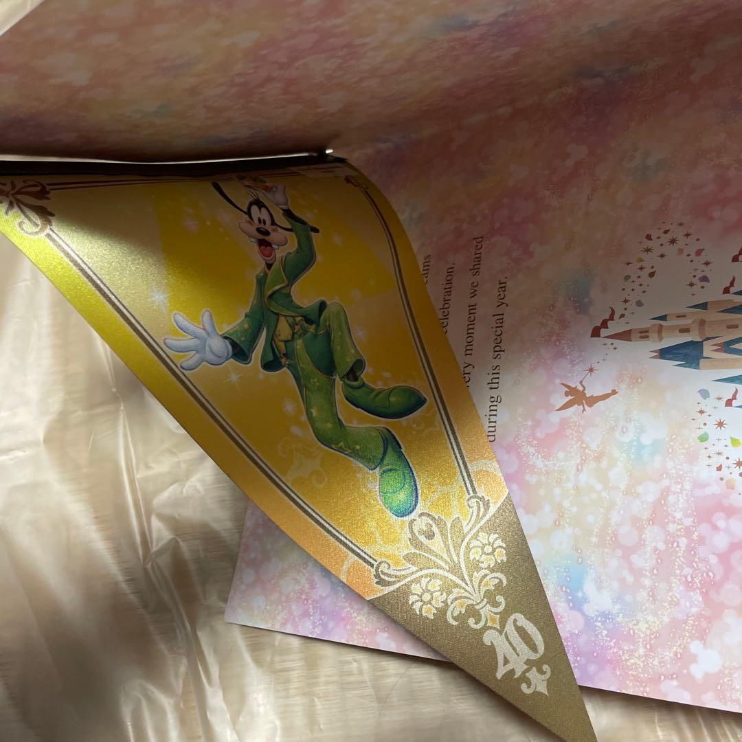 ディズニー40周年タペストリー　ハトメなし 両面キャラクター絵柄