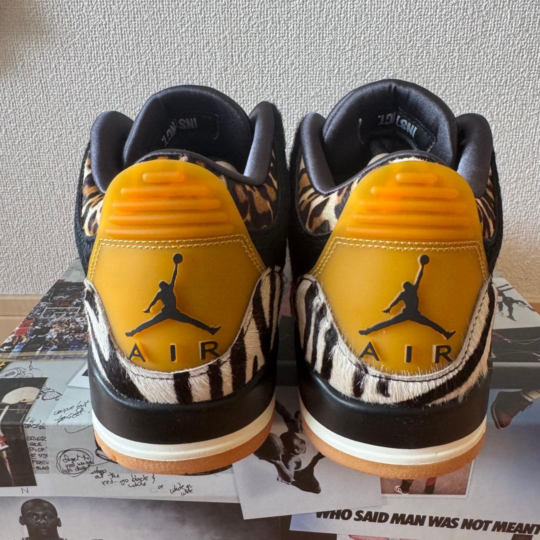 極美品⭐️27.5⭐️Nike Air Jordan 3 Retro SE アニマル