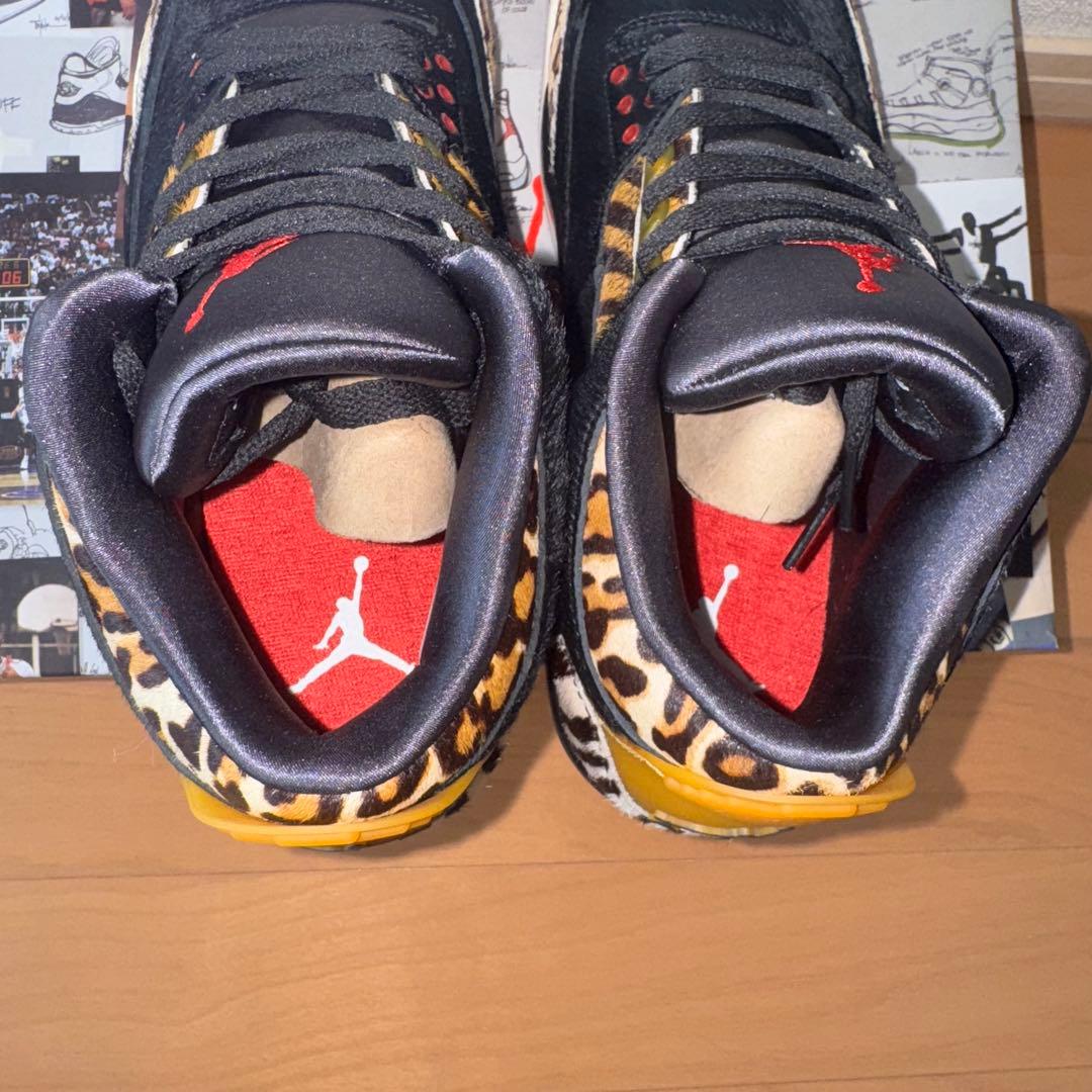 極美品⭐️27.5⭐️Nike Air Jordan 3 Retro SE アニマル