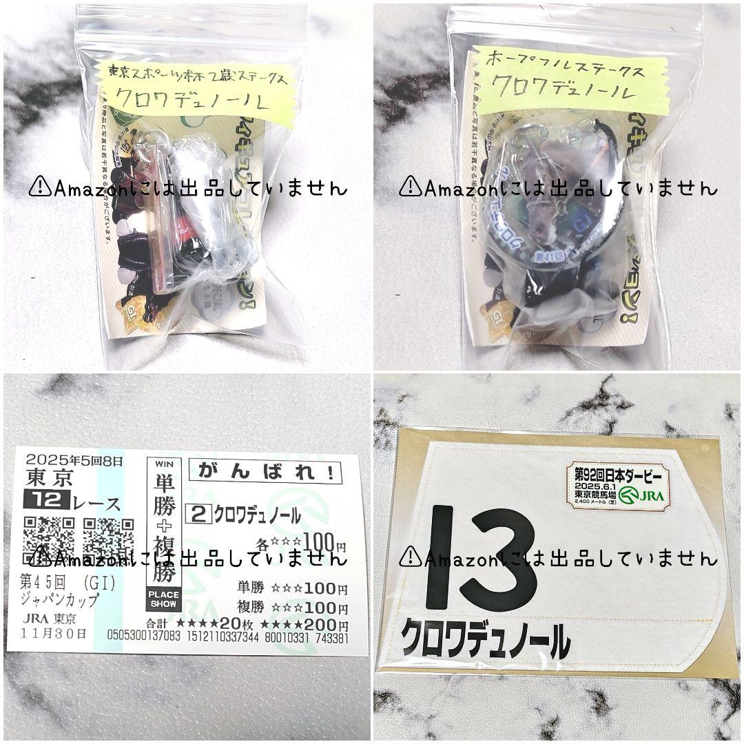 【競馬】クロワデュノール セット②
