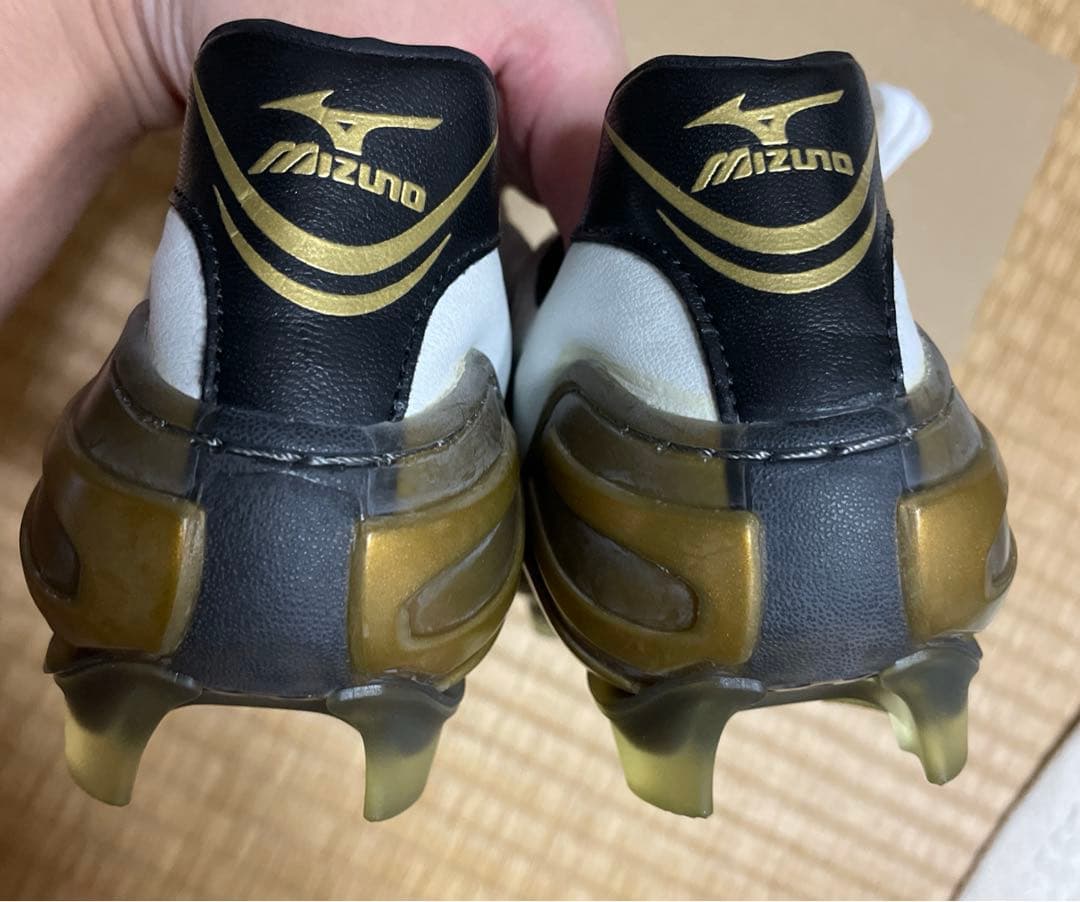 ウェーブイグニタス　スパイク