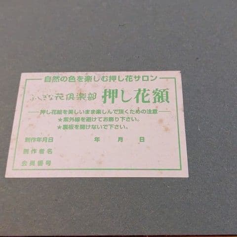 押し花！