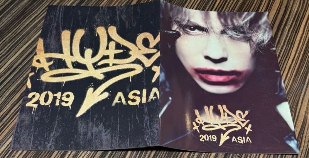 値下L'Arc〜en〜Ciel/hydeツアーパンフレット/写真集 10冊セット