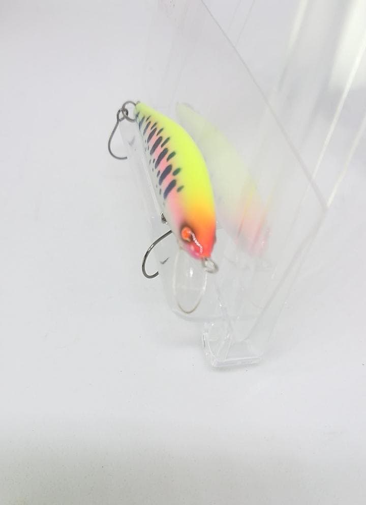 Raytune Gene 501S チャートヤマメ　３ｇ　23モデル