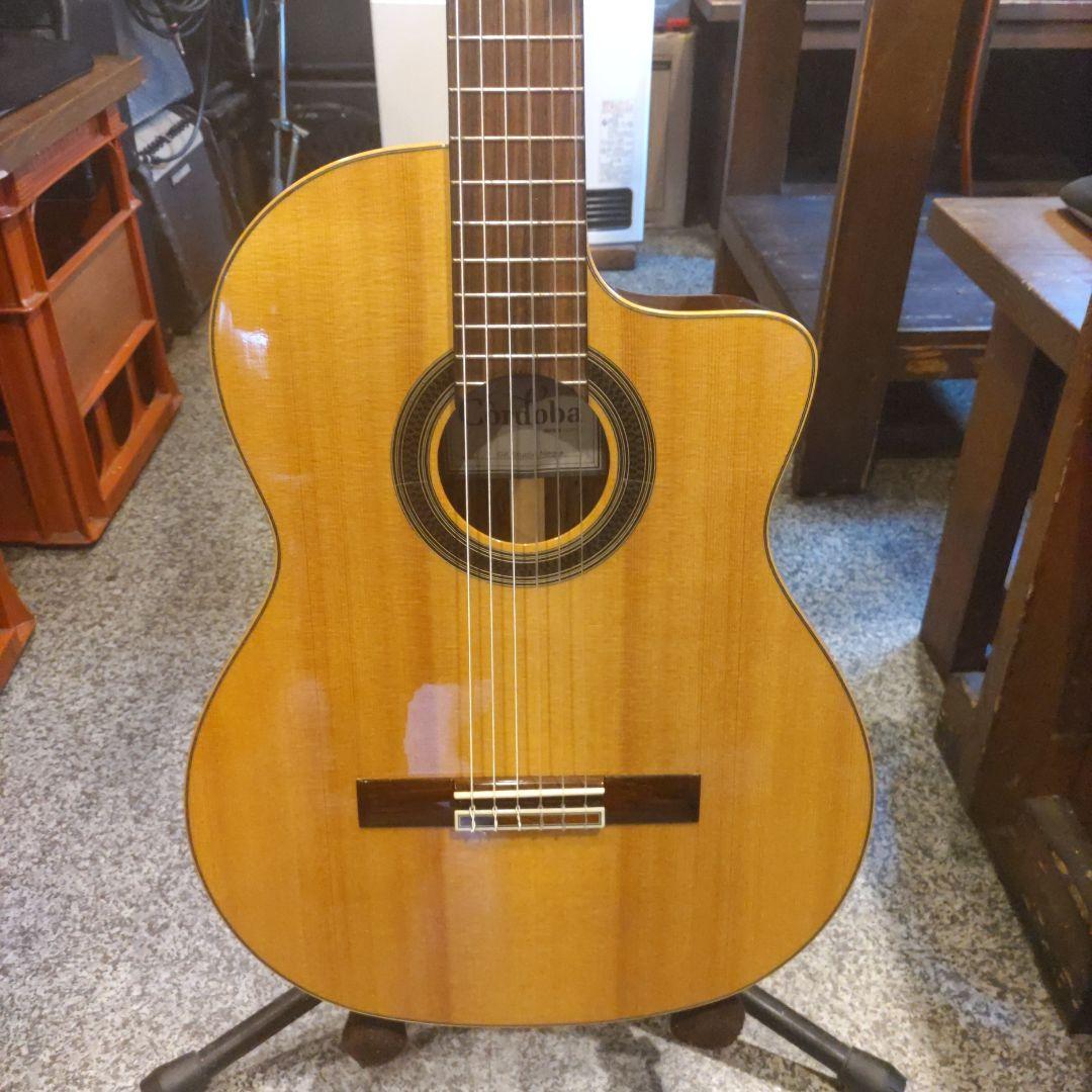 cordoba Gk Studio Negra エレガット (管理テオ)
