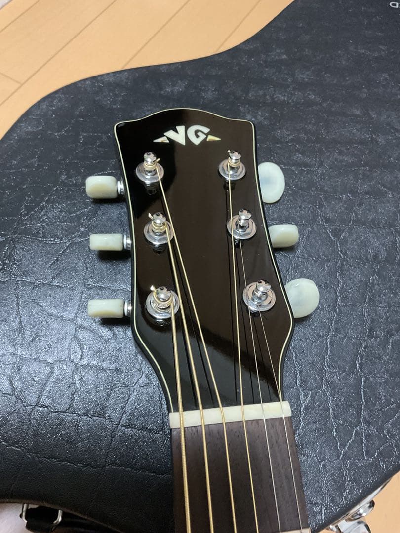 VG 00fx エレアコ
