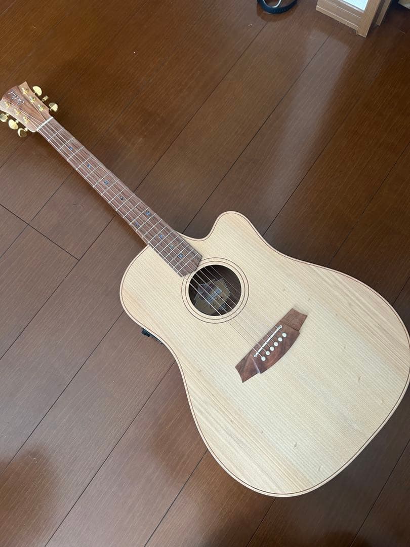 ギター Cole Clark Fat lady2 CCFL2-EC-BB Bunya