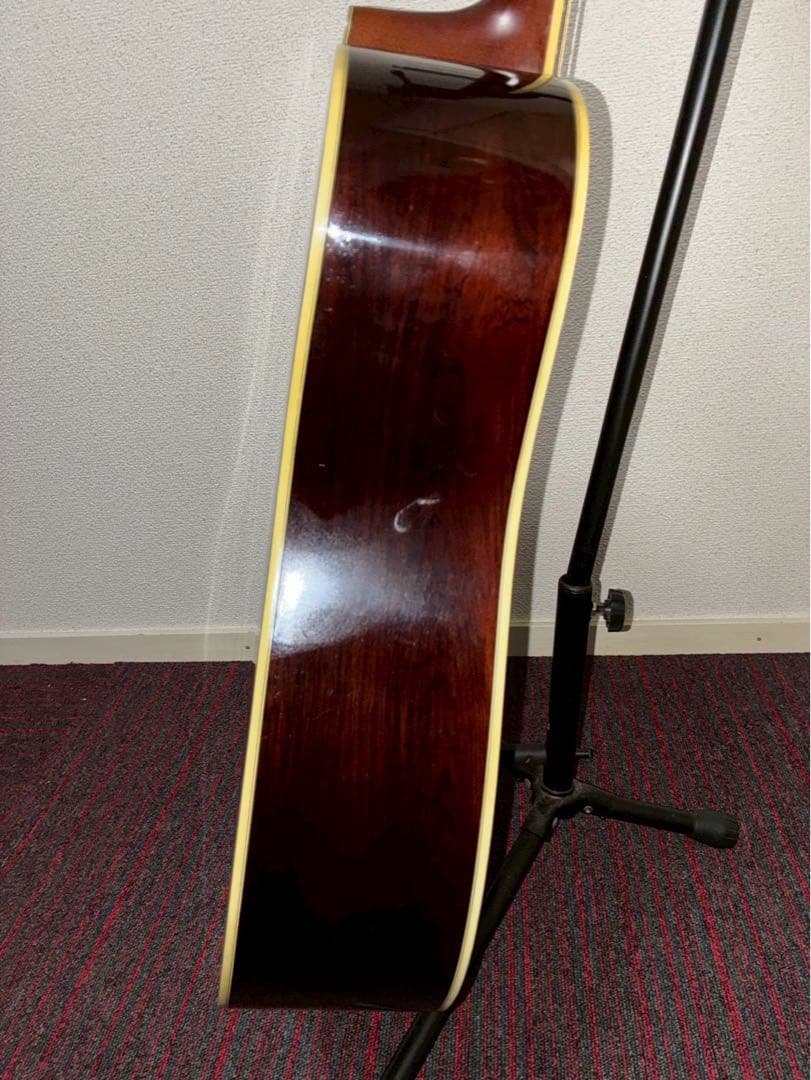 Morris W-50アコースティックギター