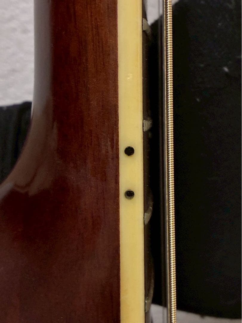 Morris W-50アコースティックギター