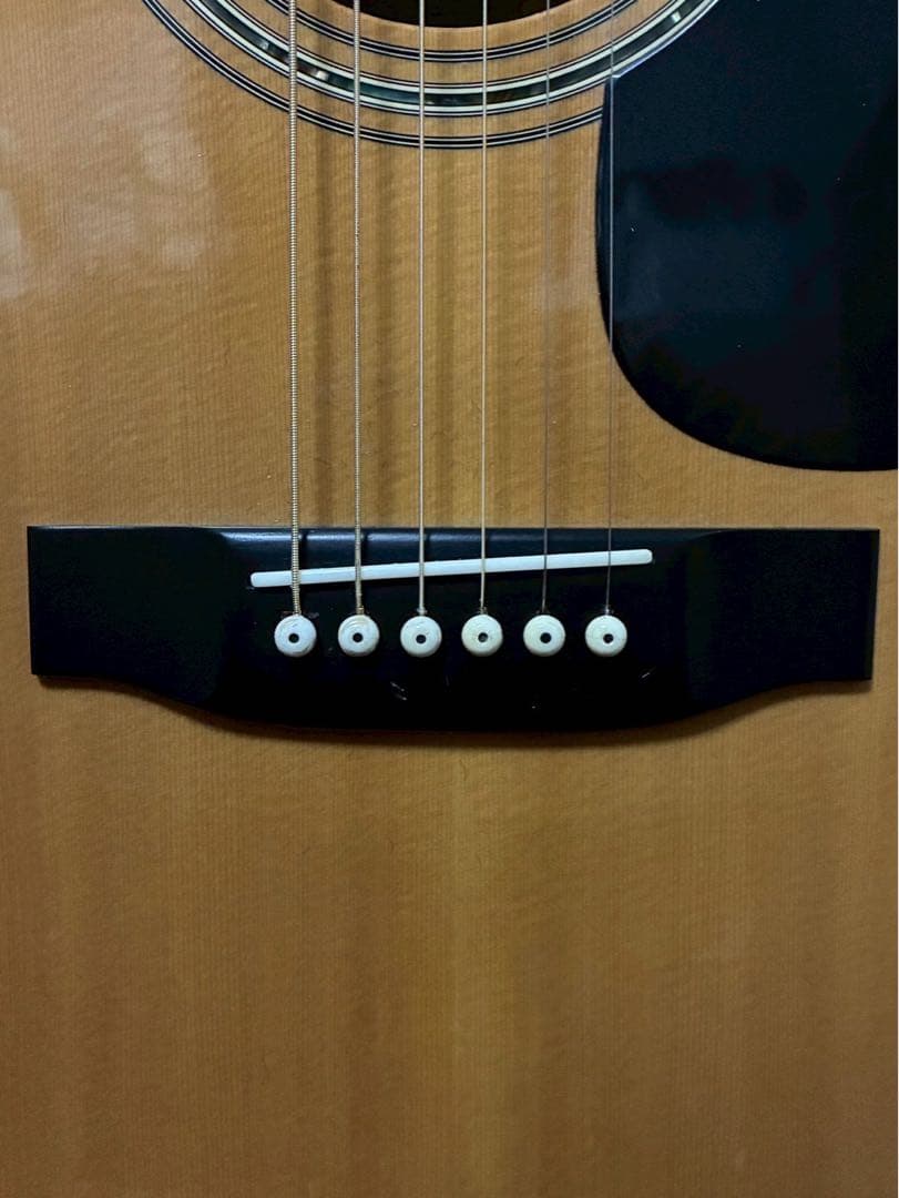 Morris W-50アコースティックギター
