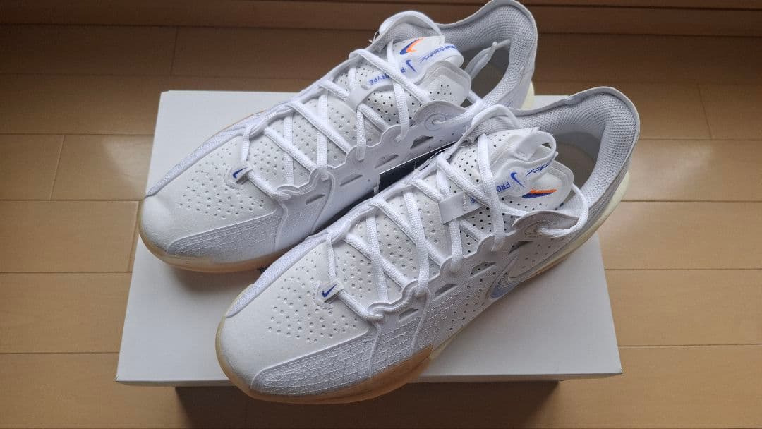 新品 NIKE AIR ZOOM G.T. CUT3 白 29cm