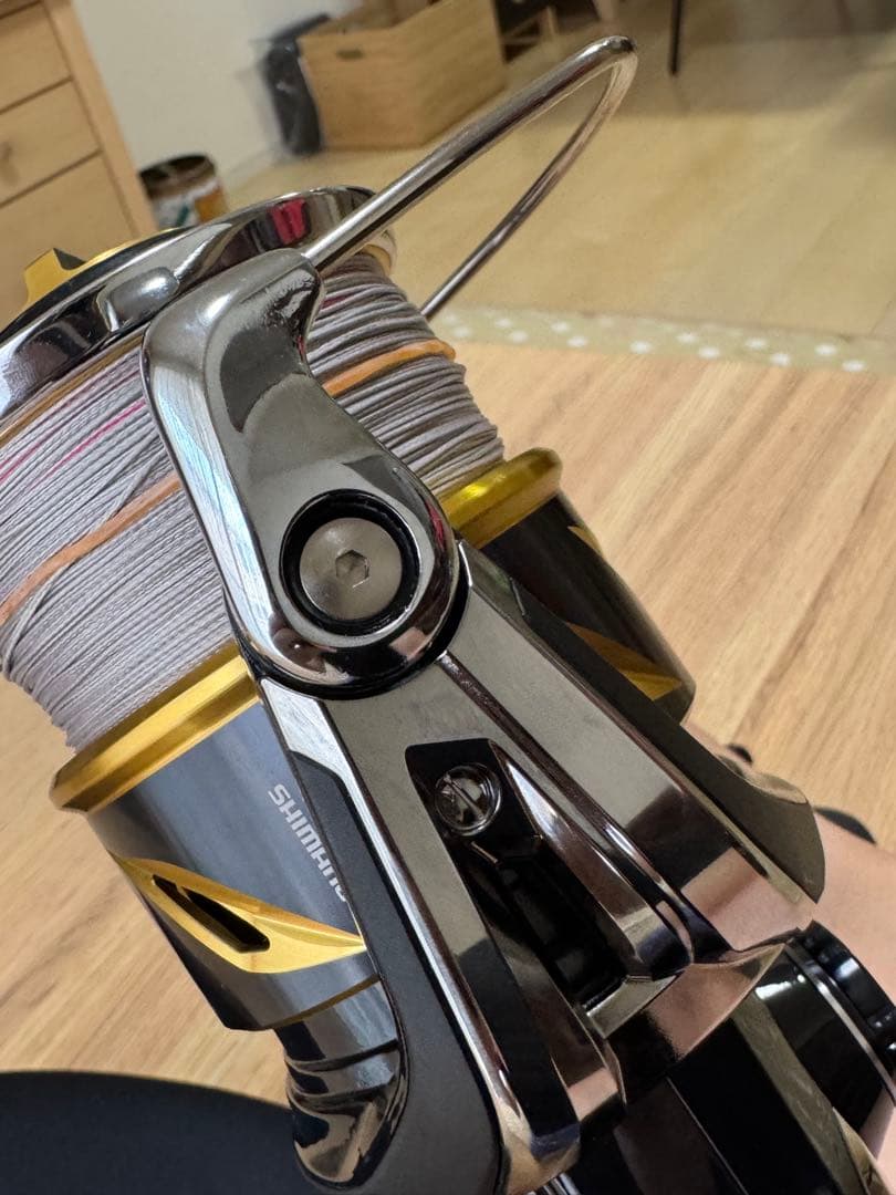 SHIMANO シマノ Stella ステラ SW20000PG