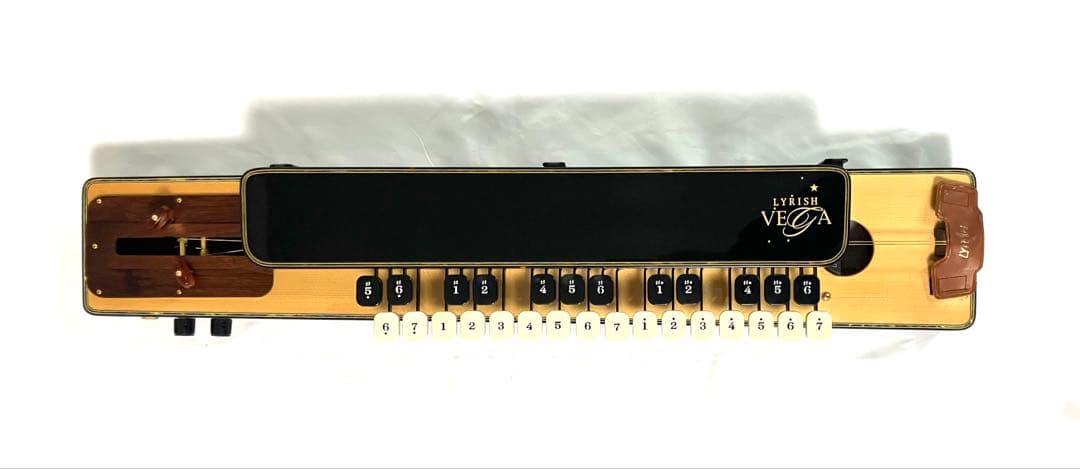 【希少・即納】ライリッシュ 最高級大正琴 VEGA アルト ワイヤレス付