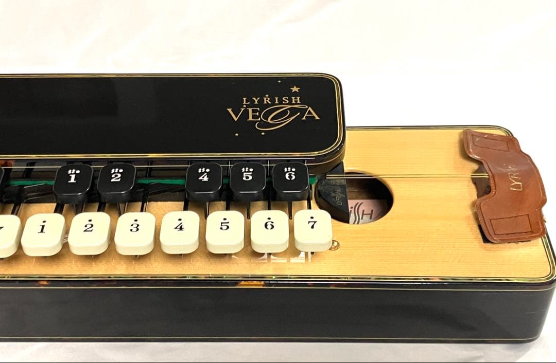 【希少・即納】ライリッシュ 最高級大正琴 VEGA アルト ワイヤレス付