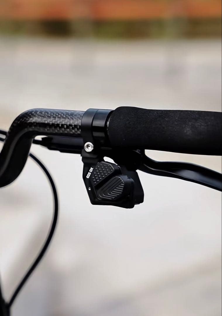 希少フルカーボンフレーム電子変速 brompton同類16インチ折りたたみ自転車