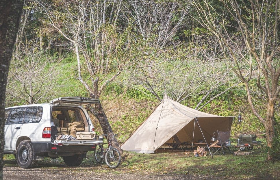 オガワ　タッソtc　ogawa Tasso T/C
