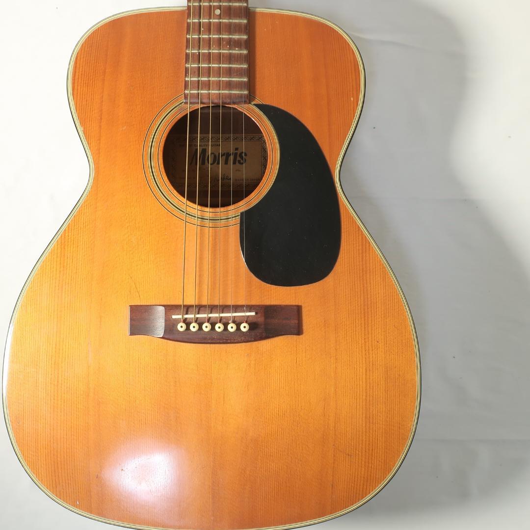 Morris F-12 アコースティックギター