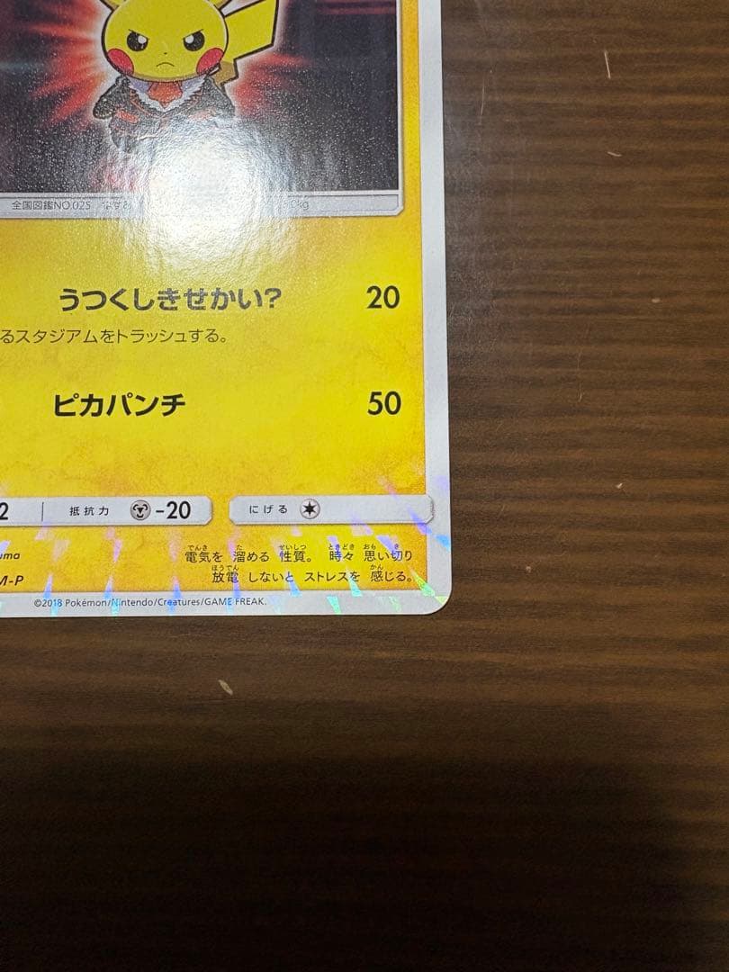 ボスごっこ　ピカチュウ フレア団