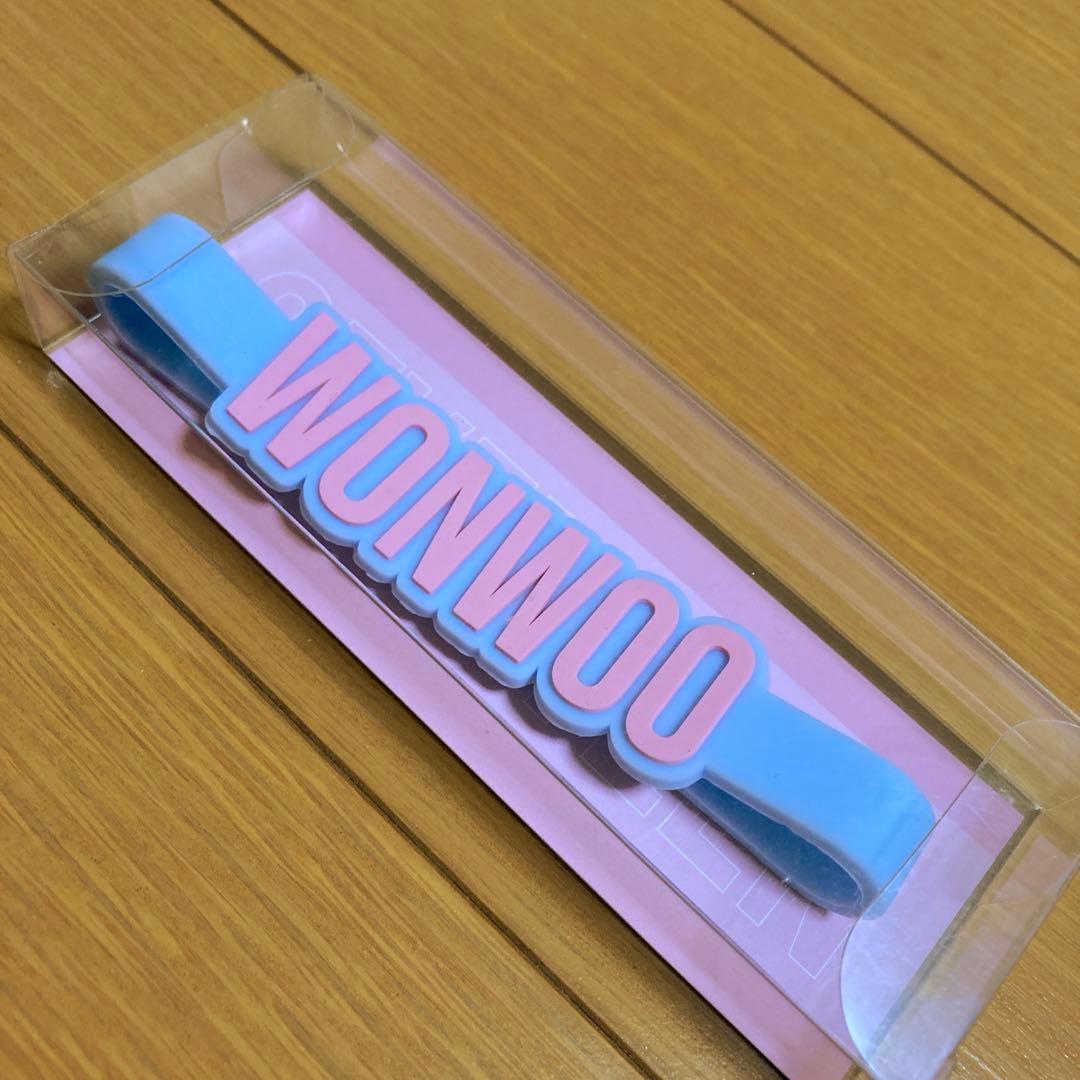 ち*る様 新品未開封　公式　SEVENTEEN ウォヌ ペンライトアクセサリー
