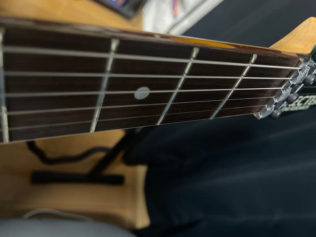 シェクター/schecter SD-2-24 限定モデル