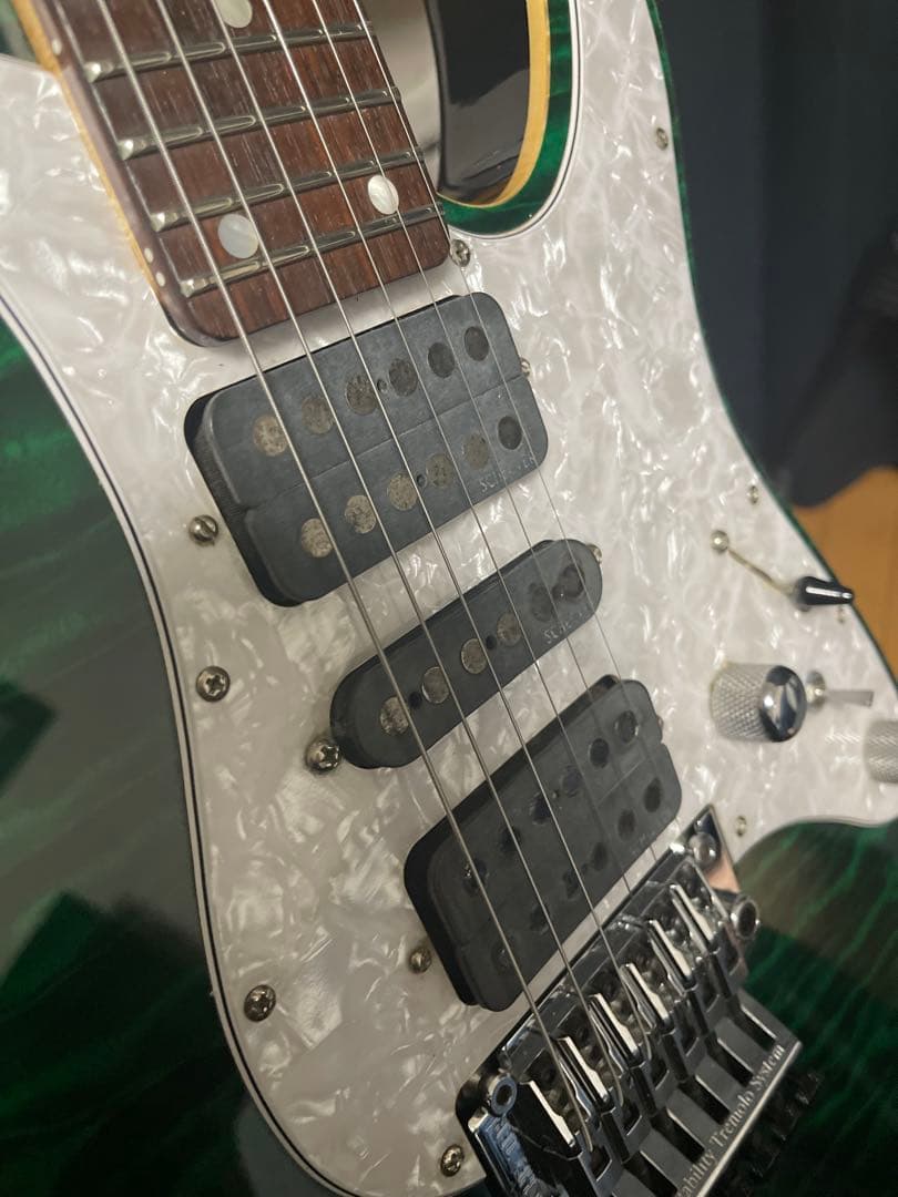 シェクター/schecter SD-2-24 限定モデル