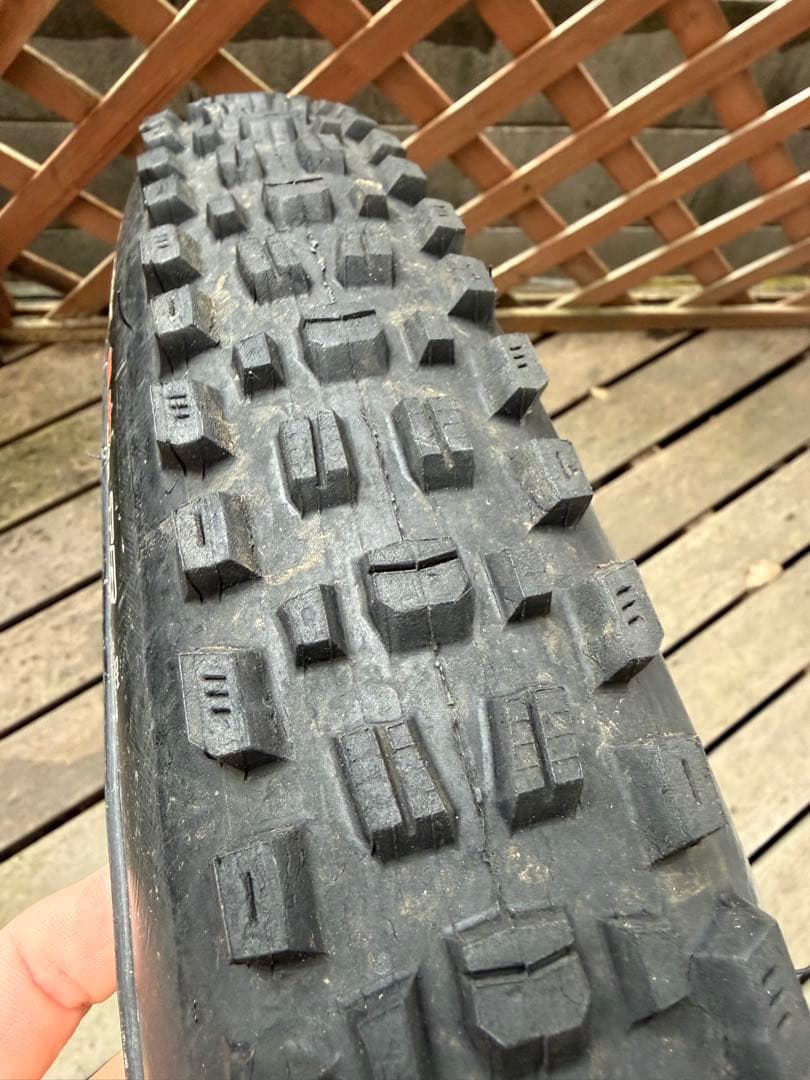 MAXXIS ASSEGAI 29x2.5WT チューブレス DH ダウンヒル