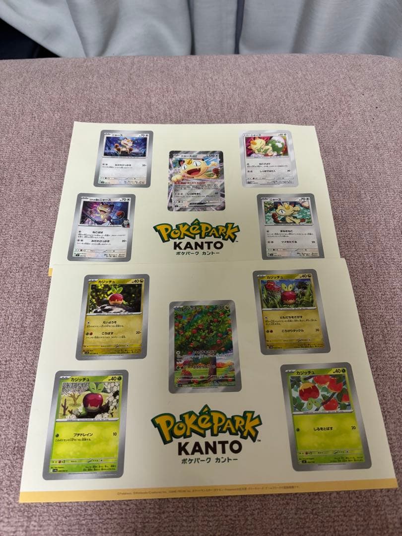 ポケパークカントー ピンバッジ ピンズ セット 研究ノート冊子
