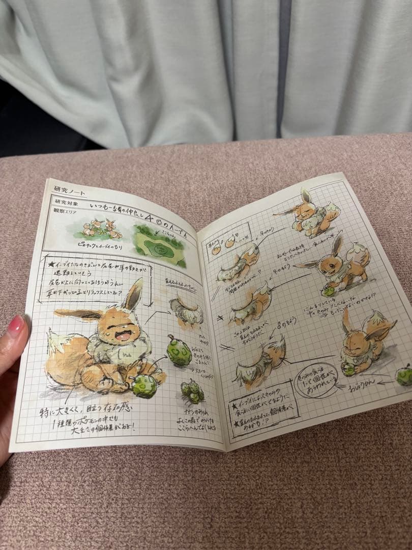 ポケパークカントー ピンバッジ ピンズ セット 研究ノート冊子