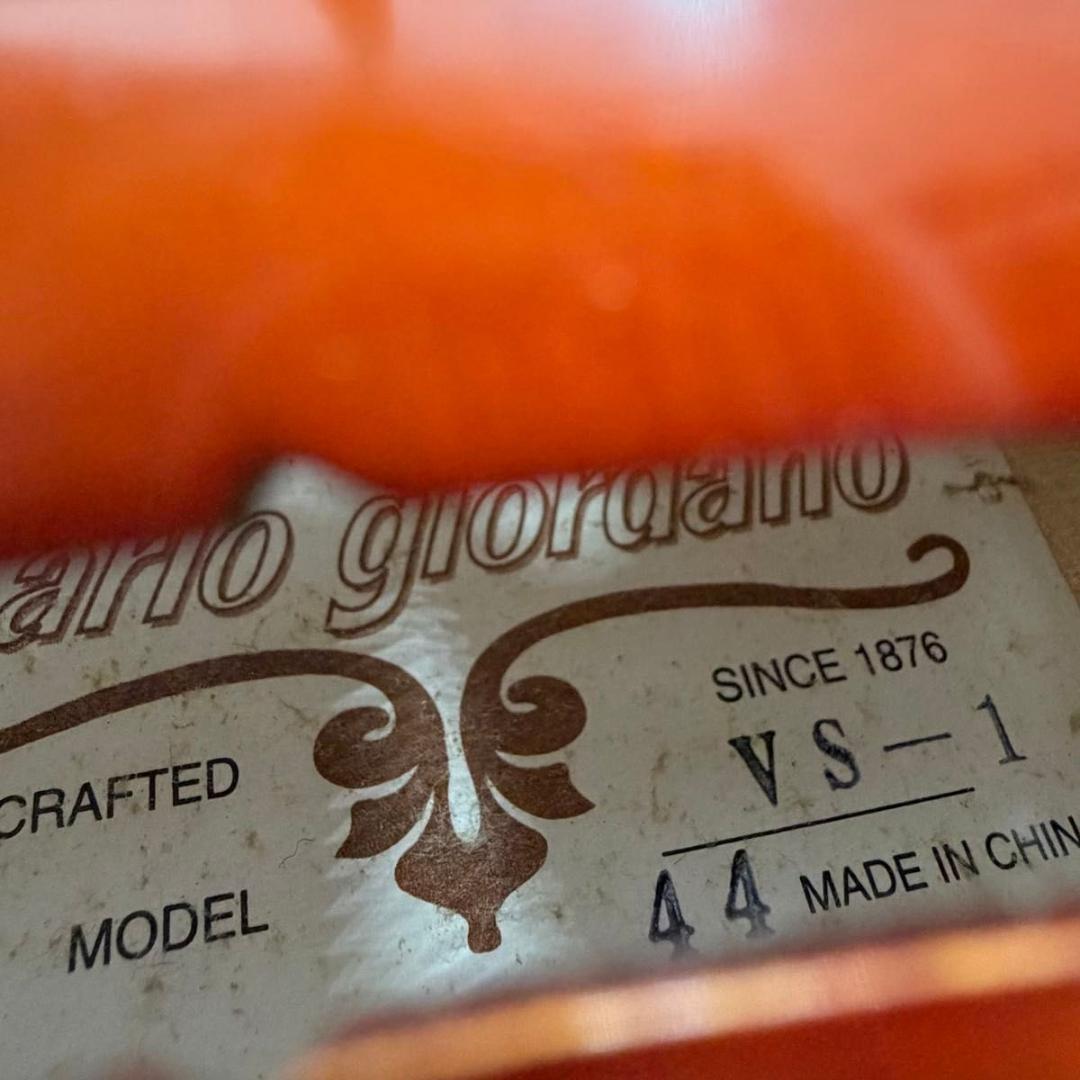 【美品】Carlo giordano VS-1 4/4 バイオリン
