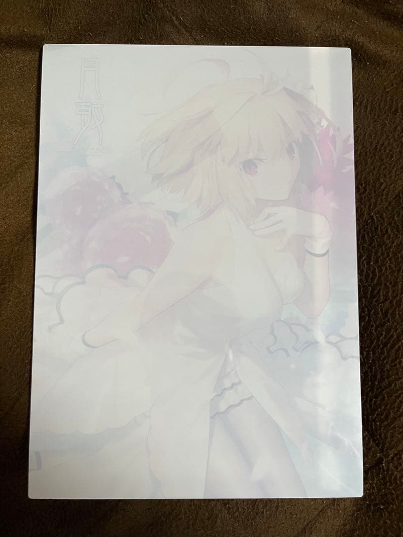 初回限定特典 月姫 武内崇 描き下ろし A4アクリルパネル