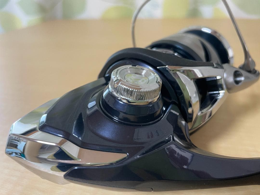 SHIMANO TWIN POWER SW4000XG　M245