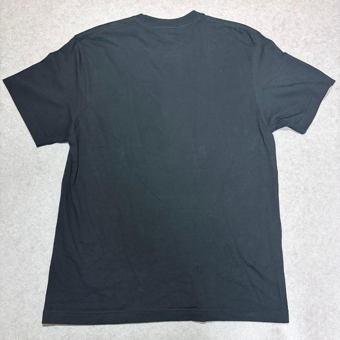 ブルーハーブ Tシャツ ブラック Lサイズ