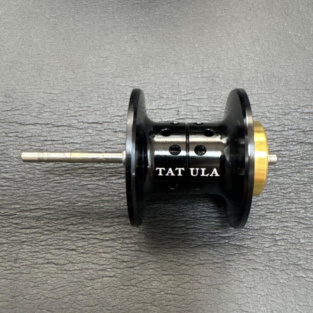 【早い者勝ち！本日限定価格】 ダイワ　19タトゥーラ　TW100SH 右ハンドル
